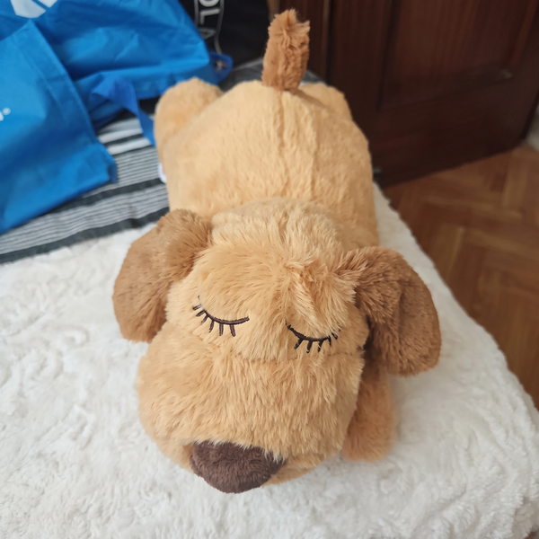 Grzegorz L.