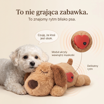 Lulek – pluszak z bijącym sercem